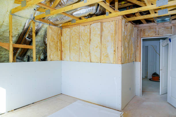 Best Eco-Friendly or Green Insulation Solutions  in USA